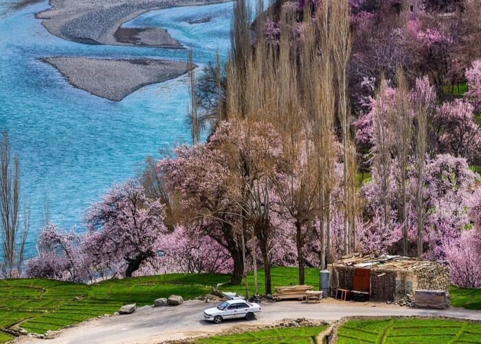 Hunza Cherry Blossom Tour