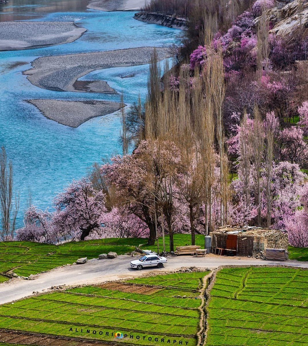 Hunza Spring Hunza Cherry Blossom Tour-Book Now-Explore Pakistan Tourism