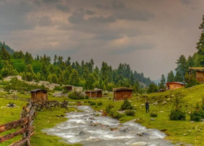 Fairy Meadows Tour