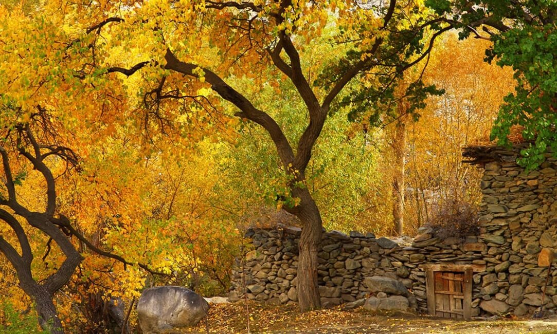 Autumn in Hunza