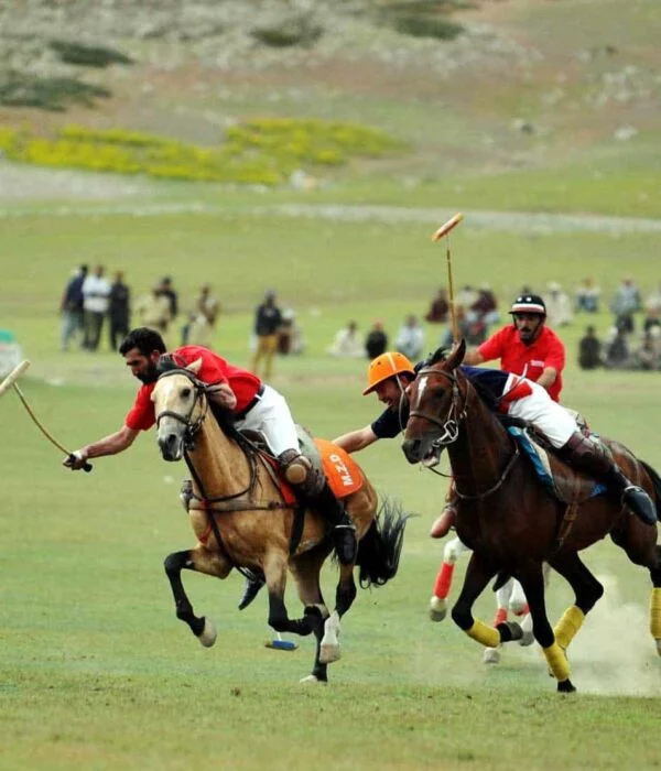 shandur polo festival