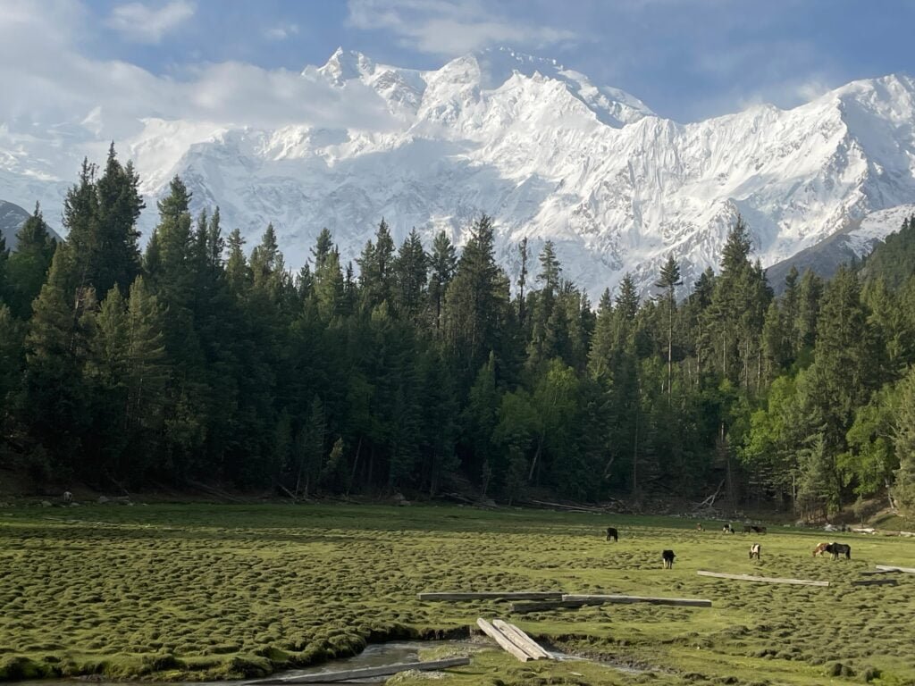 Fairy Meadows Tour