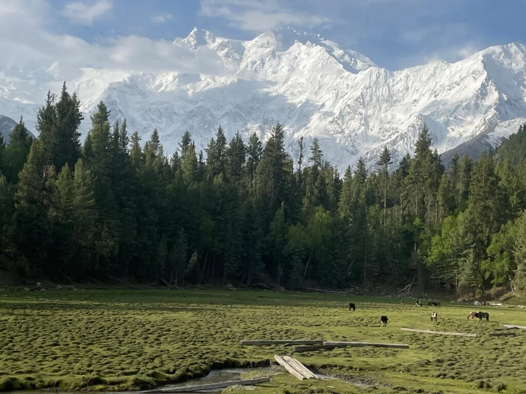 Fairy Meadows Tour