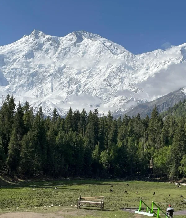 Nanga Parbat - Fairy Measdows